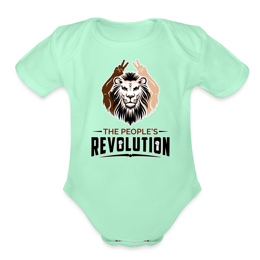 Organic Short Sleeve Baby Bodysuit - light mint